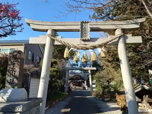 上青木氷川神社の鳥居