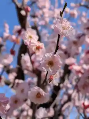 瑞円寺(東京都)