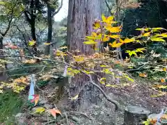 百済寺(滋賀県)