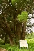 五所神社(徳島県)