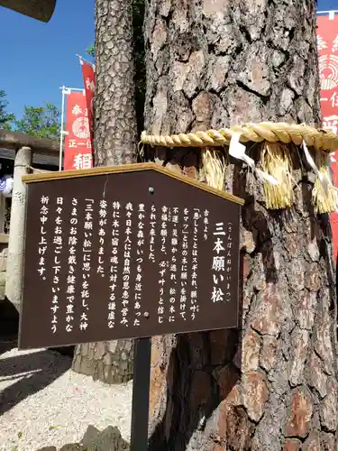中野沼袋氷川神社(東京都)