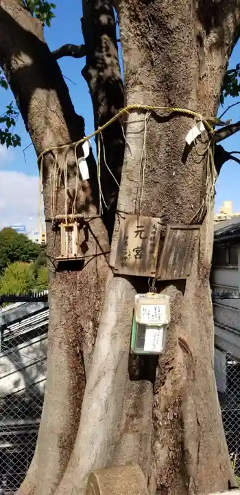 太田姫稲荷神社跡(一口神社)の自然