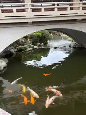 豊川閣　妙厳寺(愛知県)