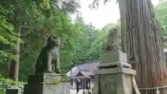 戸隠神社中社の狛犬