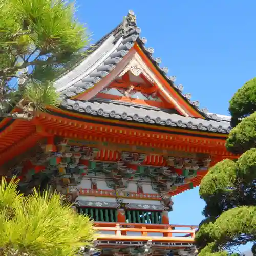酒見寺の本殿・本堂