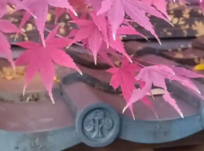 越ヶ谷久伊豆神社の建物その他