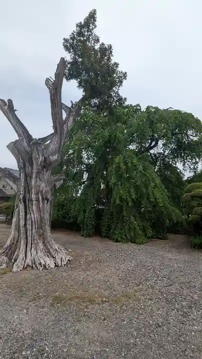 多宝院(茨城県)