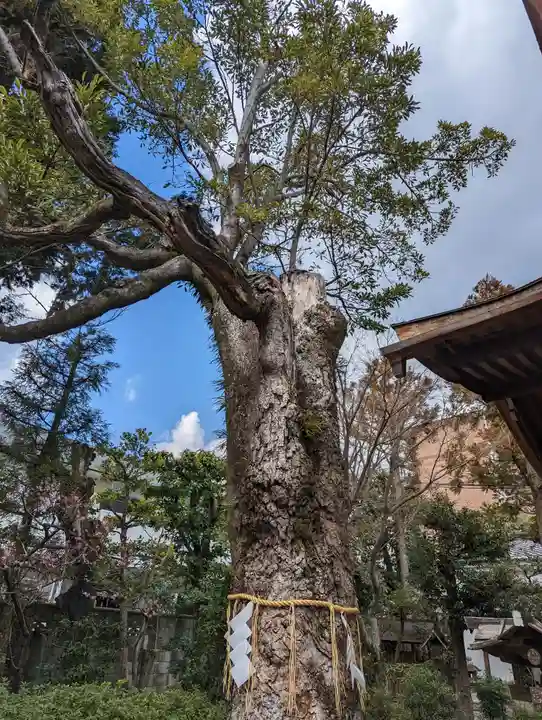 大将軍八神社(京都府)