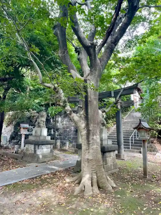 一之宮神社(神奈川県)