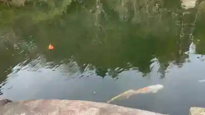 貫井神社(東京都)