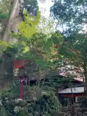 箱根神社の建物その他