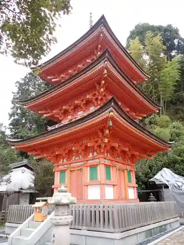 宝厳寺の塔