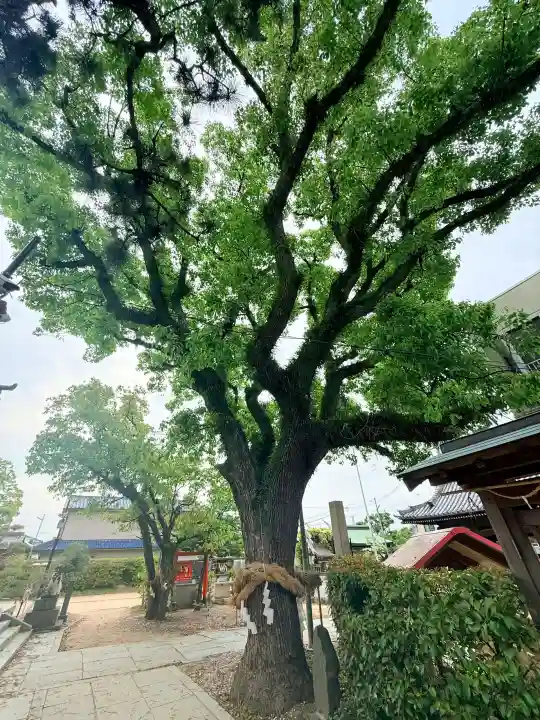 稲爪神社の{uncategorized: "未分類", other: "その他", undefined: "問題あり", building: "その他建物", grave: "お墓", sacred_gate: "鳥居", guardian: "狛犬", statue: "像", buddha: "仏像", history: "歴史", nature: "自然", garden: "庭園", animal: "動物", pagoda: "塔", temizu: "手水舎", mountain_gate: "山門・神門", sanctuary: "本殿・本堂", subordinate: "末社・摂社", art: "芸術", scenery: "景色", jizo: "地蔵", ema: "絵馬", goshuin: "御朱印", omikuji: "おみくじ", items: "授与品その他", amulet: "お守り", goshuincho: "御朱印帳", eats: "食事", festival: "お祭り", votive_dance: "神楽", shichigosan: "七五三参", wedding: "結婚式", experience: "体験その他", initially: "初詣", around: "周辺", anti_infection: "感染症対策"}