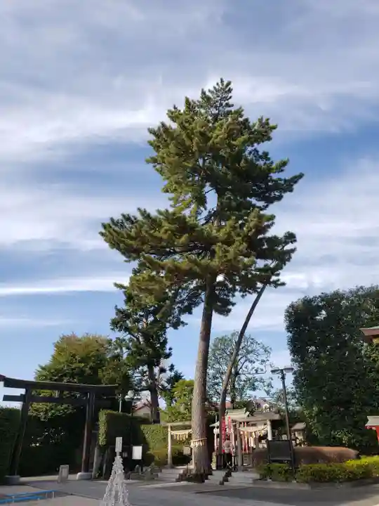 中野沼袋氷川神社(東京都)