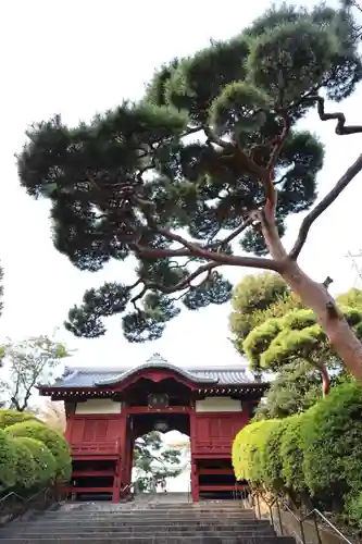 護国寺(東京都)