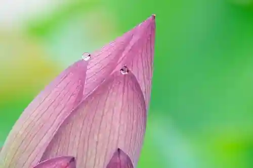 大久寺(神奈川県)