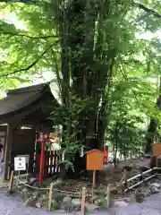 貴船神社(京都府)