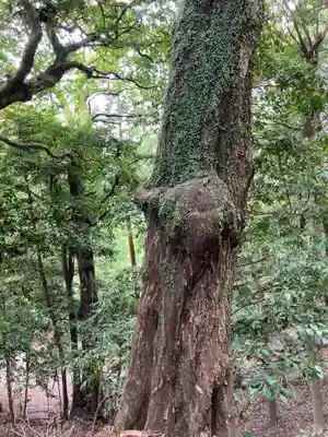 若都王子神社の庭園