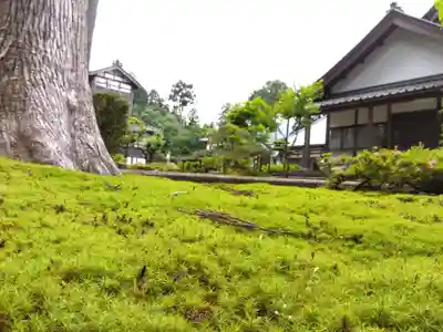 霊泉寺(福井県)