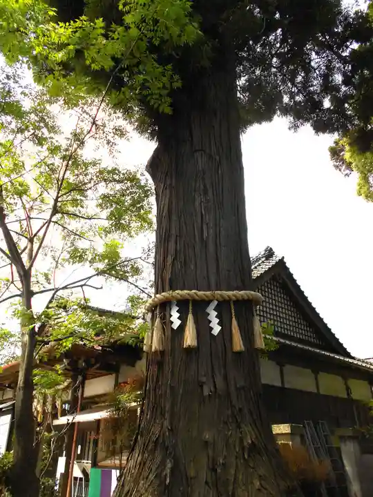國魂神社の庭園