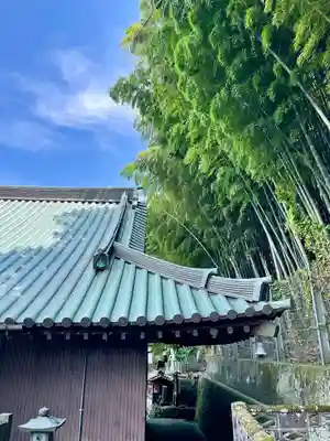 潮音寺(静岡県)