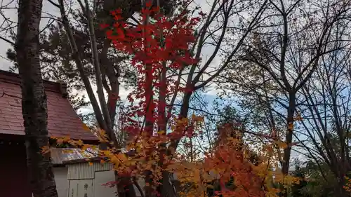 六號神社（鷹栖神社）の自然