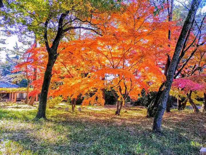 住吉社(萩原町)の自然