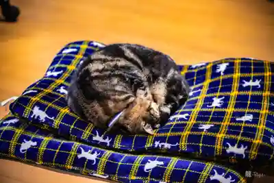 熊野那智神社(宮城県)