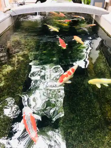 大聖観音寺（あびこ観音）(大阪府)