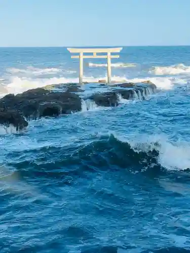 大洗磯前神社の自然