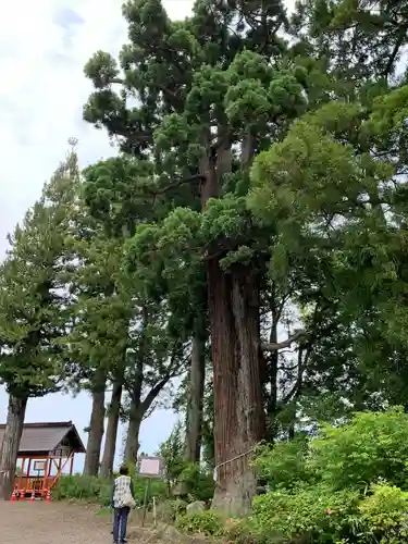 熊野那智神社(宮城県)