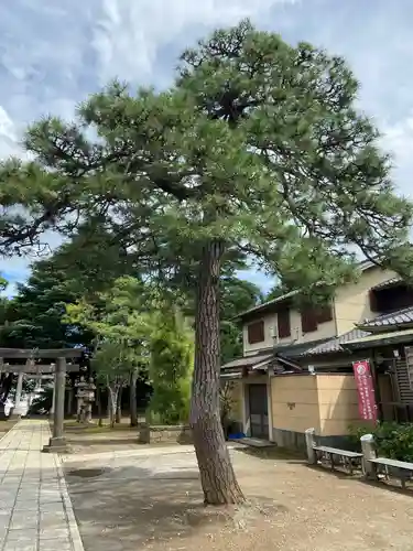 品川神社の自然