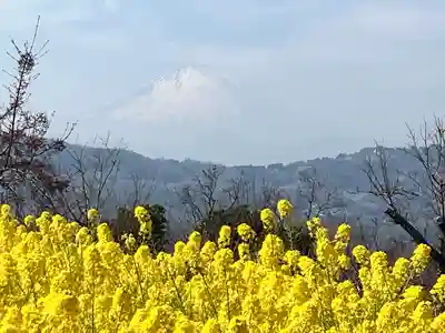 浅間神社(神奈川県)