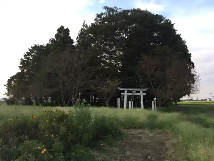 星宮神社の周辺