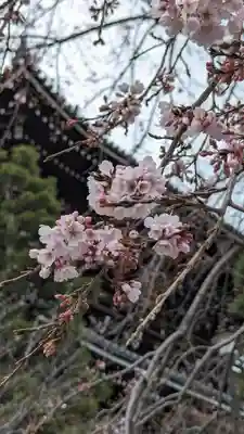 くろ谷 金戒光明寺(京都府)