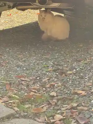 阿邪訶根神社(福島県)
