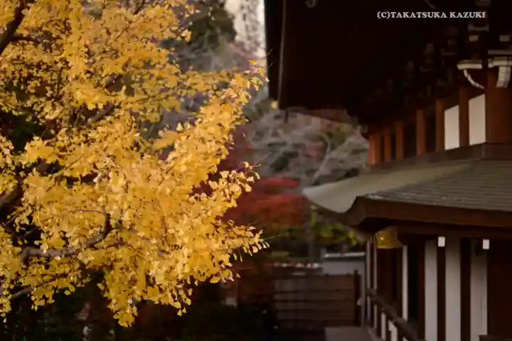 増上寺(東京都)