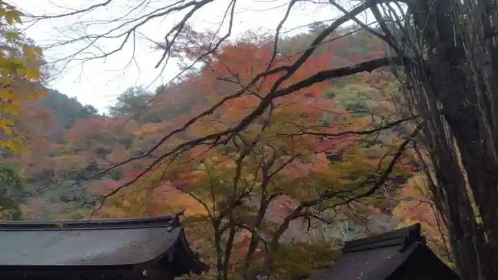 貴船神社(京都府)