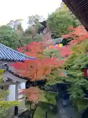 禅林寺（永観堂）(京都府)