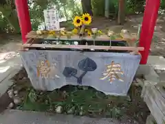 高瀧神社(千葉県)