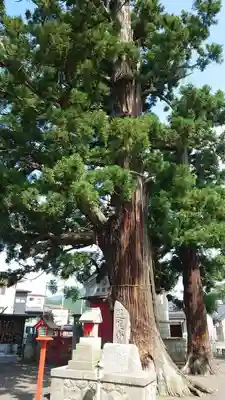 飯坂八幡神社(福島県)