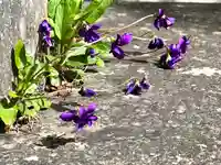 海應院(長野県)