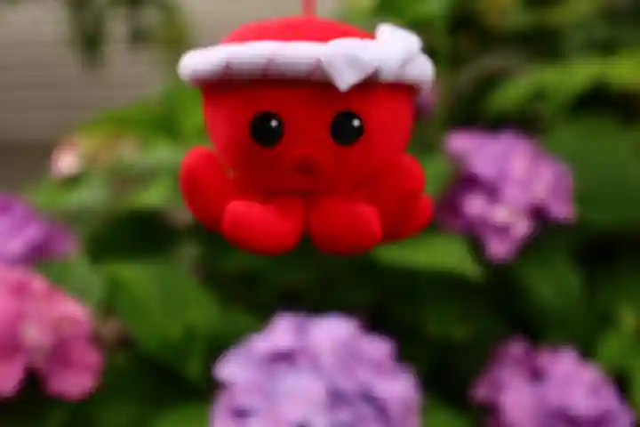 白山神社(東京都)