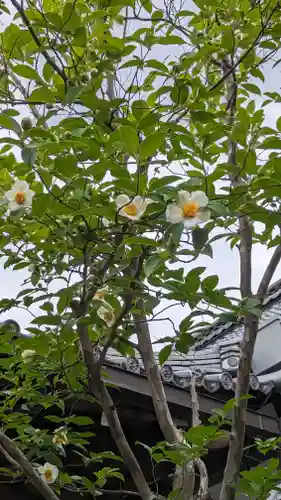 天寧寺(京都府)