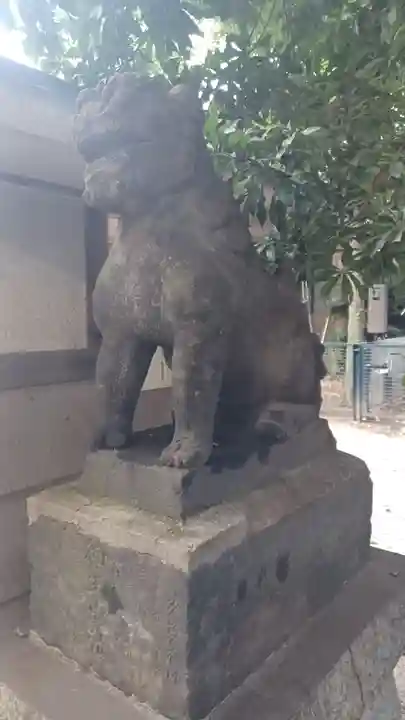 戸越八幡神社の狛犬