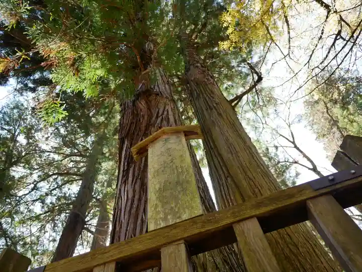 小野神社のその他建物