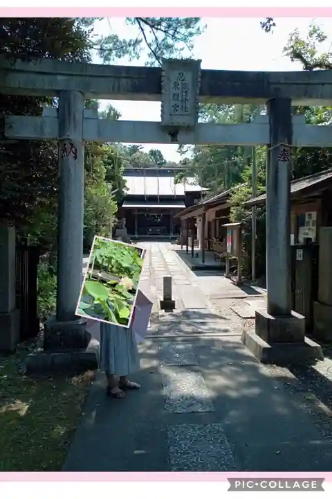 忍 諏訪神社・東照宮 (埼玉県)