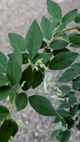 梨木神社(京都府)