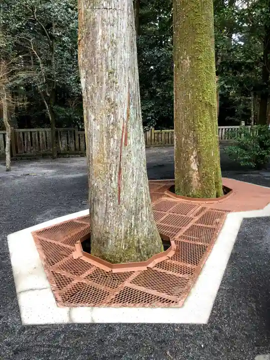 椿大神社の自然