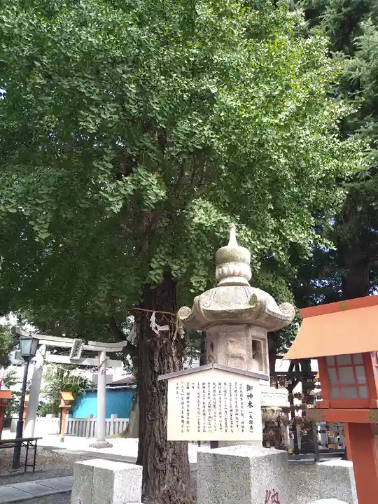 草加神社のその他建物